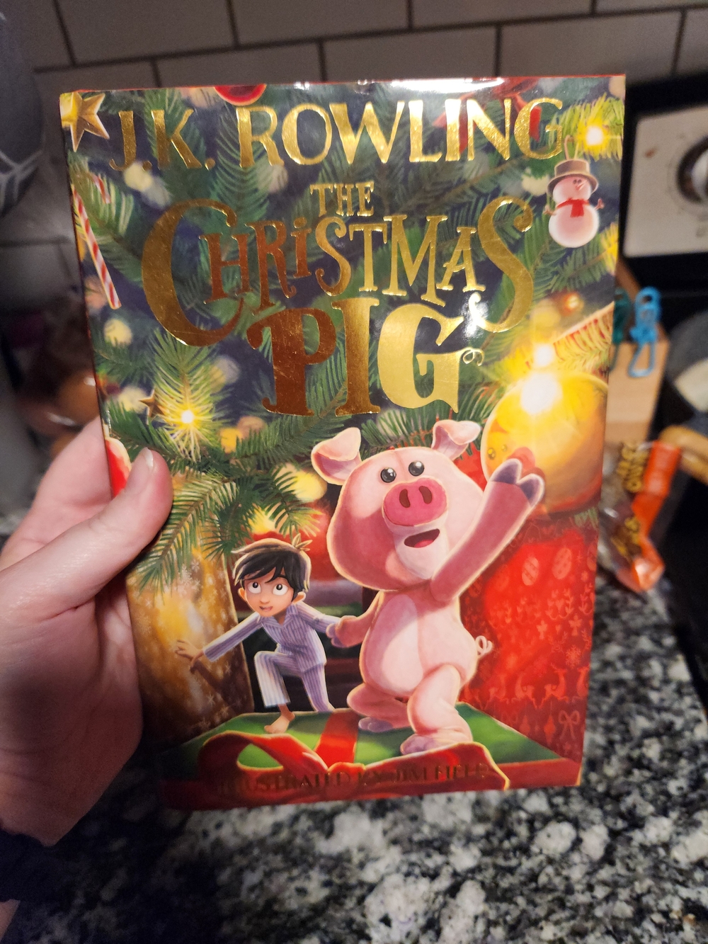 The Christmas Pig - Pink Children's Book